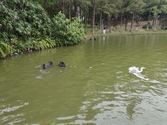 -珠海圆明新园