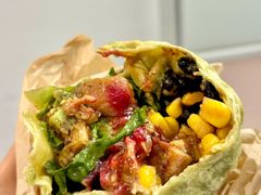 -油梨树 AVOCADO TREE(亮马桥店)