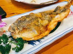 -天正河鲀·河豚亭(大连店)