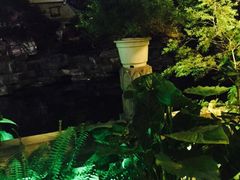 iphone_upload_pic-山色柴火烤披萨·原切牛扒