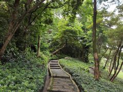 -炮台山公园