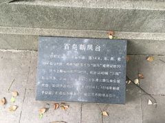 -汇龙潭