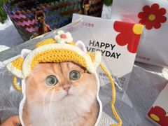 -花花卷卷·鲜食蛋糕(泉屋店)