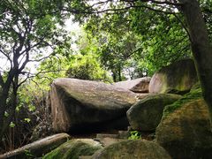 -火炉山森林公园