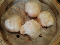 虾饺-君豪大酒店-东海渔村中餐厅