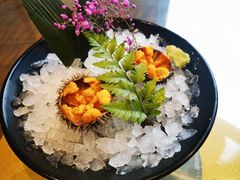 大连鲜活黑海胆-日进一片海.生腌海鲜火锅.宵夜烧烤(三里屯总店)