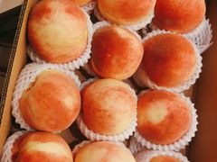-旺顺阁海鲜广场(亚运村店)