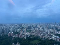 -上海龙之梦万丽酒店