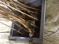 -老徐烧烤涮肚(交道口店)