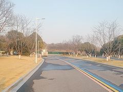 -羊山湖公园