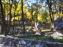 -北京上方山国家森林公园