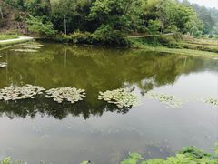 -韶山毛泽东同志故居