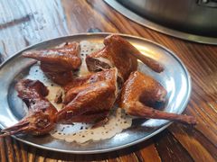 -南海鸽天下(肇庆店)