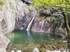 -花岩国家森林公园