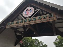 -上海海湾国家森林公园