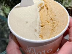 -Dip in Gelato(富民路店)