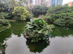 -九龙公园