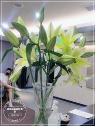 -北京炫美医疗美容