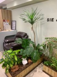 -Lumi露米·美甲美睫品质店