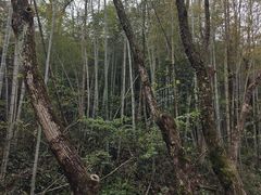 -小格里自然风景区