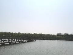 -西青郊野公园