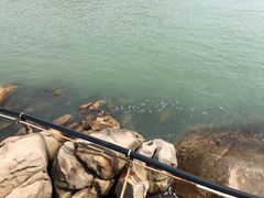 -那琴半岛地质海洋公园