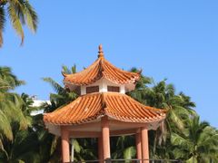 -东郊椰林