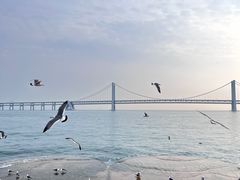 -星海广场