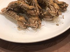 赖尿虾-莆鑫海鲜城(浏河店)