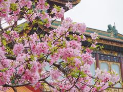-宝墨园景区