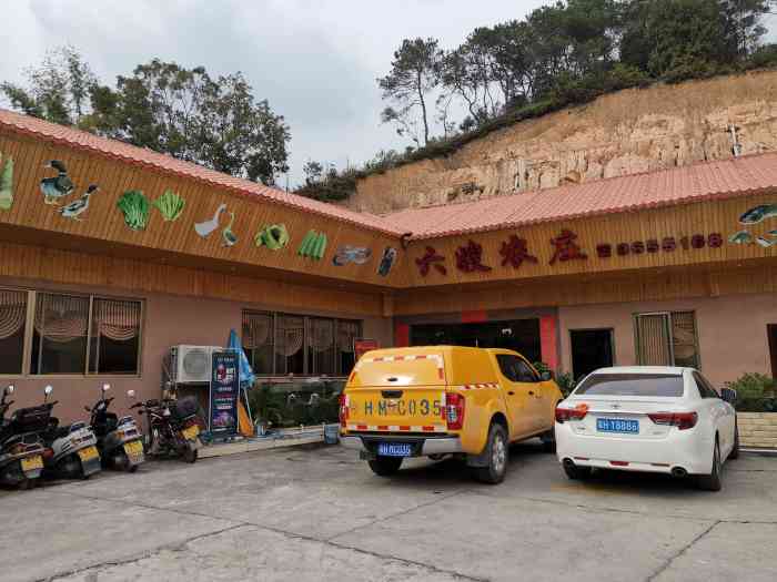 六嫂农庄-"在广宁来得最多就是这家,六嫂家味道还是可.