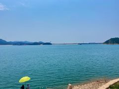-望湖烤鱼
