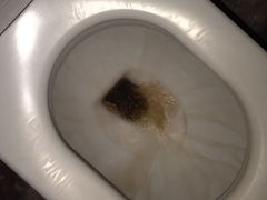 -河源万绿湖美思威尔顿酒店