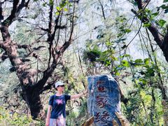 -北海金海湾红树林生态旅游区