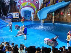 -烟台海昌鲸鲨海洋公园