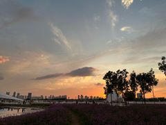 -哈尔滨大剧院