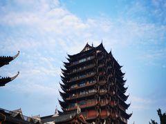 -眉山湿地公园(东坡区)