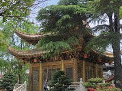 -上海东林寺(金山区)