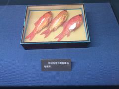 -上海公安博物馆
