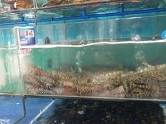 水产区-南海渔家•海鲜•正宗海南菜(海棠湾店)
