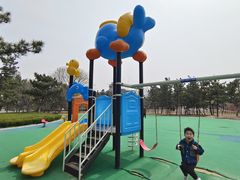 -小石岛景区