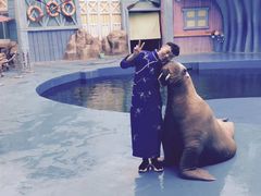 -华夏文旅海洋公园