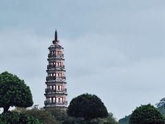 -顺峰山公园