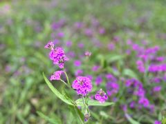 -秦皇岛野生动物园