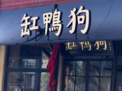 -缸鸭狗(天一广场店)
