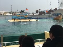 -秦皇岛乐岛海洋王国