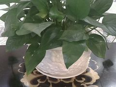 -君邦天山饭店(龙泉街店)