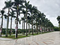 -顺峰山公园