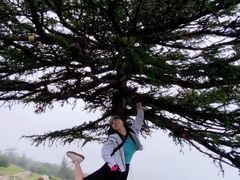 -灵山