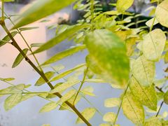 -济南方特东方神画